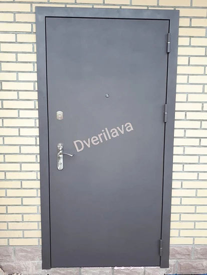 Дверь в коттедж с порошковым напылением